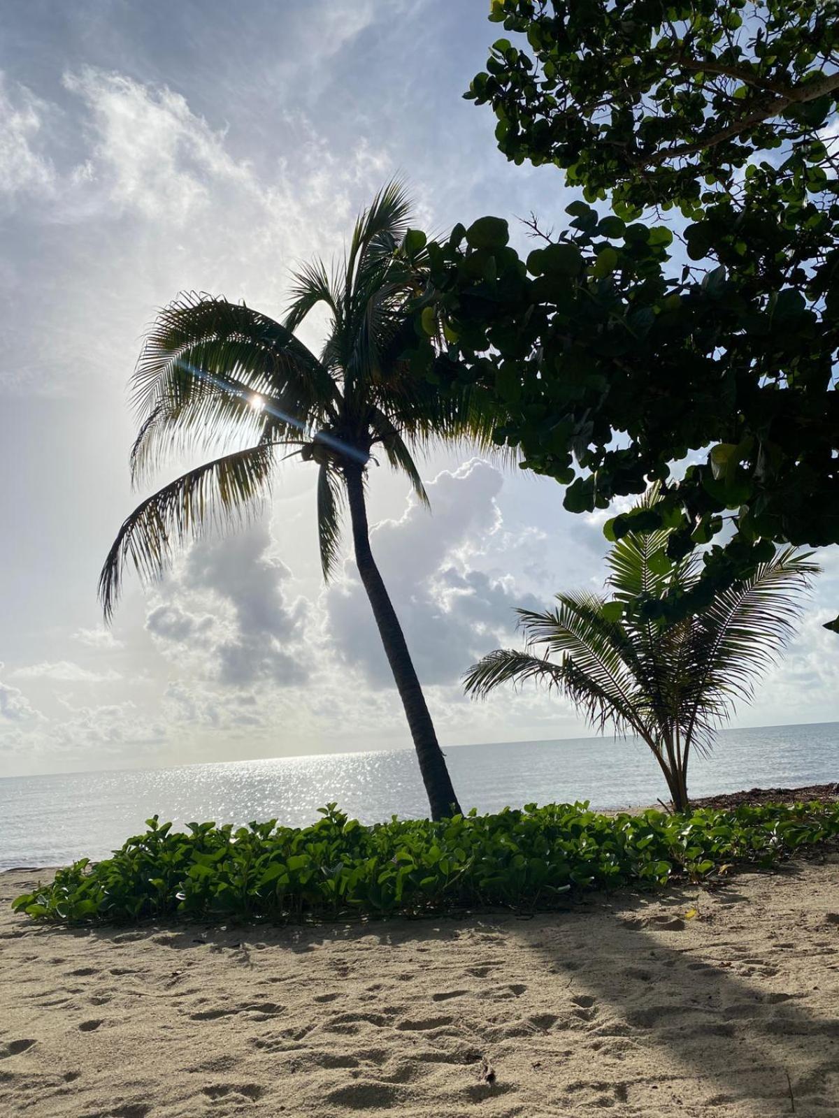 Coconut Row Boutique Hotel Hopkins Chambre photo